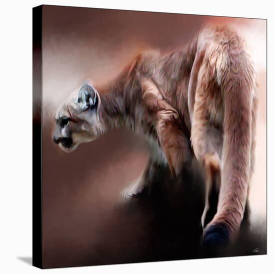 Cougar-Paul Miners-Stretched Canvas