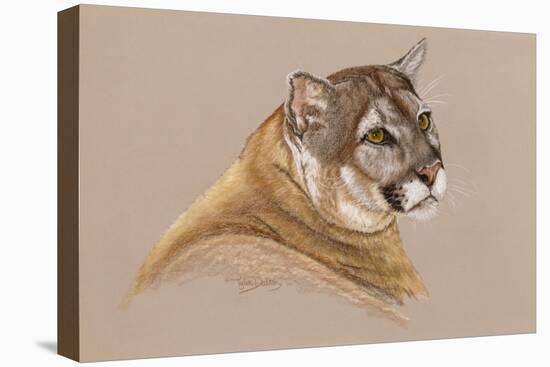 Cougar-Barbara Keith-Premier Image Canvas