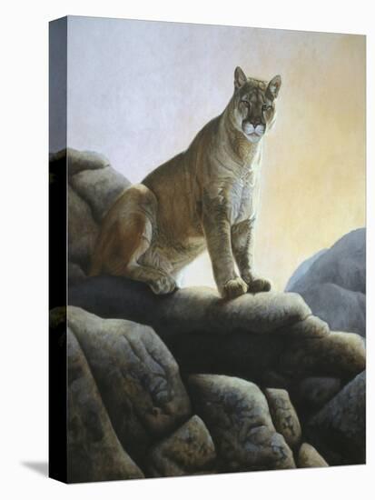 Cougar-Rusty Frentner-Premier Image Canvas