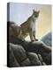 Cougar-Rusty Frentner-Premier Image Canvas