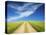 Country Back Road Through Spring Wheat Fields-Terry Eggers-Premier Image Canvas