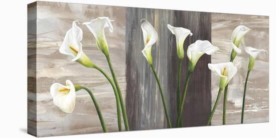 Country Callas-Jenny Thomlinson-Stretched Canvas