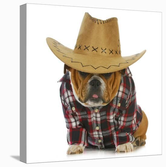 Country Dog - English Bulldog Puppy Dressed Up In Western Clothes And Hat On White Background-Willee Cole-Premier Image Canvas