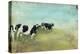 Country Drive Cows II-Naomi McCavitt-Stretched Canvas