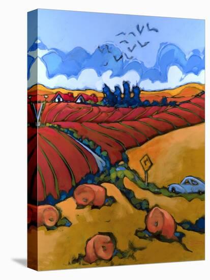 Country Drive-Don Tiller-Premier Image Canvas