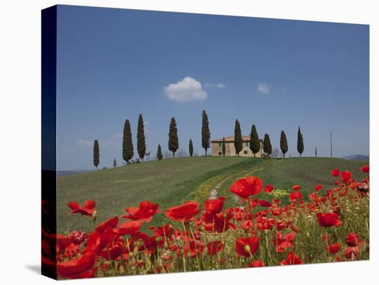 Country Home and Poppies, Near Pienza, Tuscany, Italy, Europe-Angelo Cavalli-Premier Image Canvas