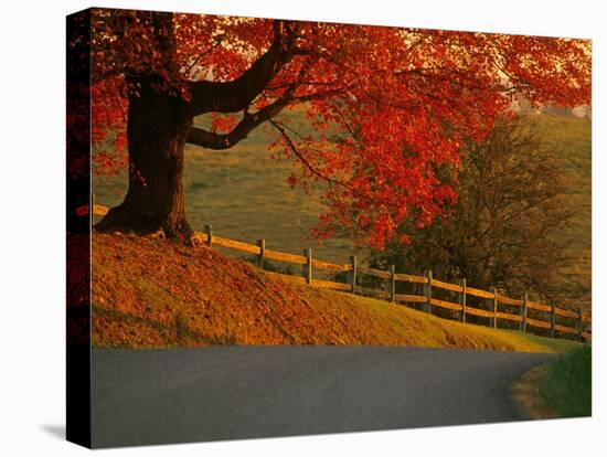 Country Lane, Faquier County, Virginia, USA-Kenneth Garrett-Premier Image Canvas