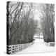 Country Lane in Winter-Nicholas Bell-Premier Image Canvas