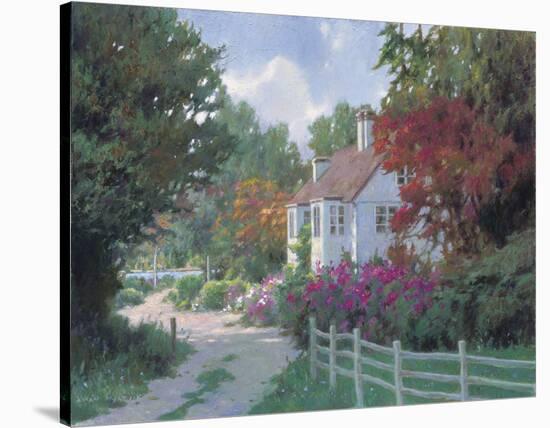 Country Lane-Allan Myndzak-Stretched Canvas