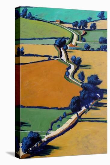 Country Lane-Paul Powis-Premier Image Canvas