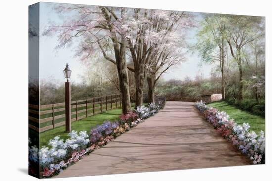 Country Lane-Diane Romanello-Stretched Canvas
