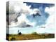 Country Life II-Paul McCreery-Stretched Canvas