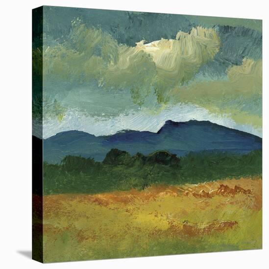 Country Life - Stroll-Bill Philip-Stretched Canvas