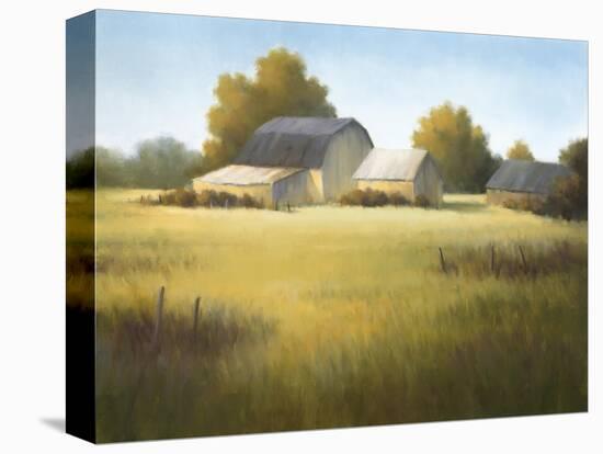 Country Meadow I-David Marty-Premier Image Canvas