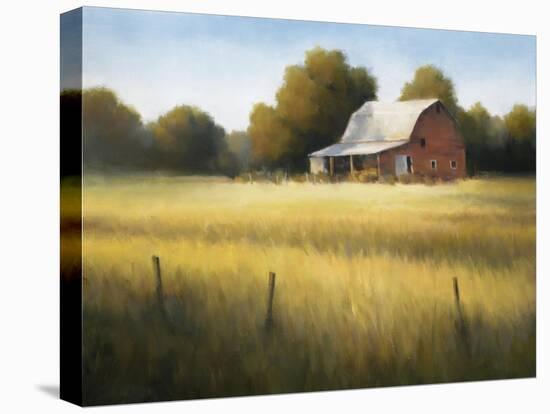 Country Meadow II-David Marty-Premier Image Canvas