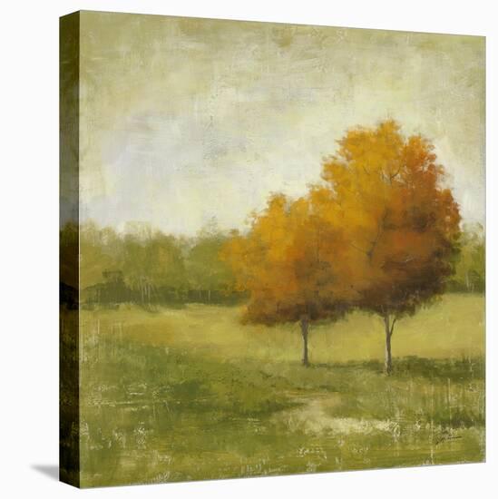 Country Meadow-Jill Schultz McGannon-Stretched Canvas