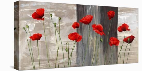 Country Poppies-Jenny Thomlinson-Stretched Canvas