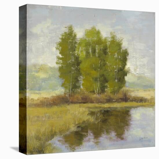 Country Reflections-Jill Schultz McGannon-Stretched Canvas