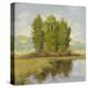 Country Reflections-Jill Schultz McGannon-Stretched Canvas