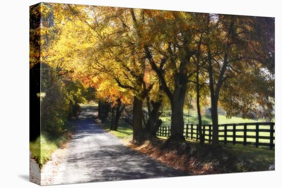 Country Road I-Alan Hausenflock-Premier Image Canvas