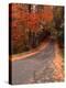 Country Road in Autumn, Vermont, USA-Charles Sleicher-Premier Image Canvas