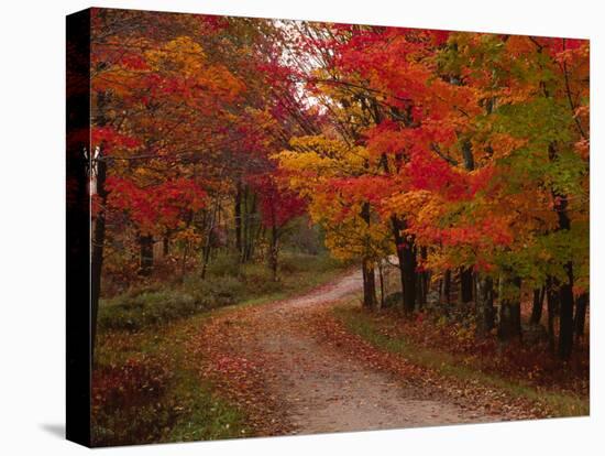 Country Road in the Fall, Vermont, USA-Charles Sleicher-Premier Image Canvas
