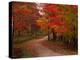 Country Road in the Fall, Vermont, USA-Charles Sleicher-Premier Image Canvas