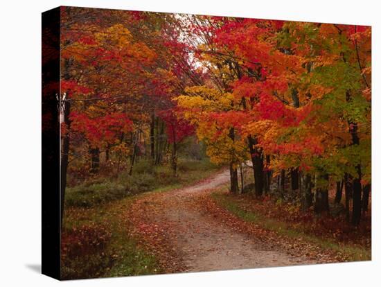 Country Road in the Fall, Vermont, USA-Charles Sleicher-Premier Image Canvas