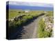 Country Road, Inishmore, Aran Islands, County Galway, Connacht, Republic of Ireland (Eire), Europe-Ken Gillham-Premier Image Canvas