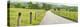 Country Road Panorama I-James McLoughlin-Premier Image Canvas