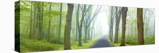 Country Road Panorama V-James McLoughlin-Premier Image Canvas