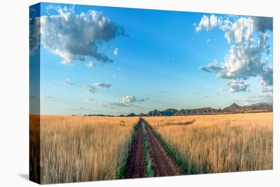 Country Road Panorama-Murray Bolesta-Premier Image Canvas