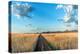 Country Road Panorama-Murray Bolesta-Premier Image Canvas