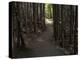 Country Road Photo VI-James McLoughlin-Premier Image Canvas