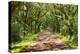 Country Road Photo VII-James McLoughlin-Premier Image Canvas