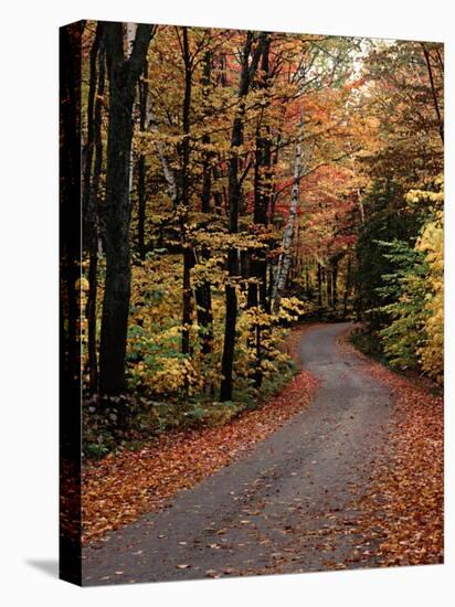 Country Road, Vermont, USA-Charles Sleicher-Premier Image Canvas