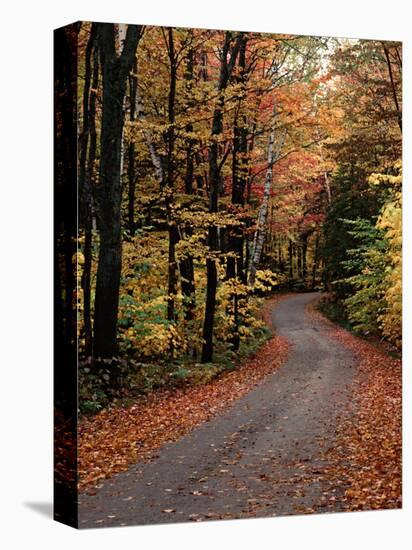 Country Road, Vermont, USA-Charles Sleicher-Premier Image Canvas