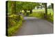 Country Road, Yorkshire Dales National Park, Yorkshire, England, United Kingdom, Europe-Miles Ertman-Premier Image Canvas