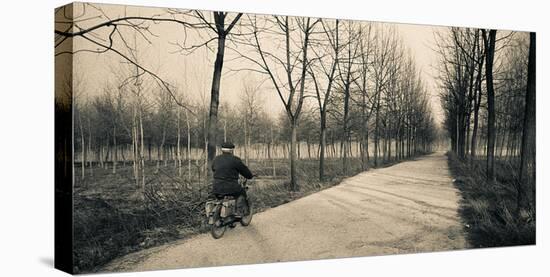 Country Road-Andrew Geiger-Stretched Canvas