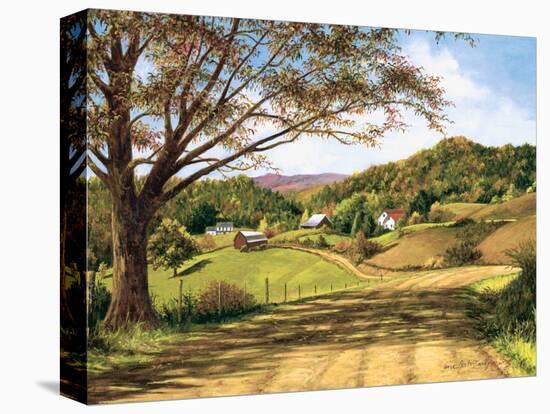 Country Roads-Lene Alston Casey-Stretched Canvas