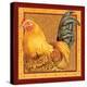 Country Rooster II-Gwendolyn Babbitt-Stretched Canvas