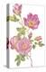 Country Rose-The Vintage Collection-Stretched Canvas