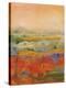Country Village I-Tebo Marzari-Stretched Canvas