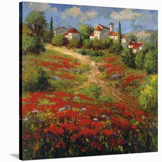 Country Village II-Hulsey-Stretched Canvas