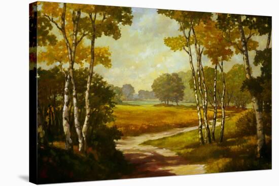 Country Walk I-Graham Reynolds-Stretched Canvas