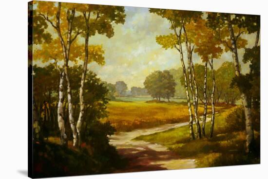 Country Walk I-Graham Reynolds-Stretched Canvas