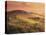 Countryside at Sunset, Volterra, Tuscany, Italy, Europe-Patrick Dieudonne-Premier Image Canvas