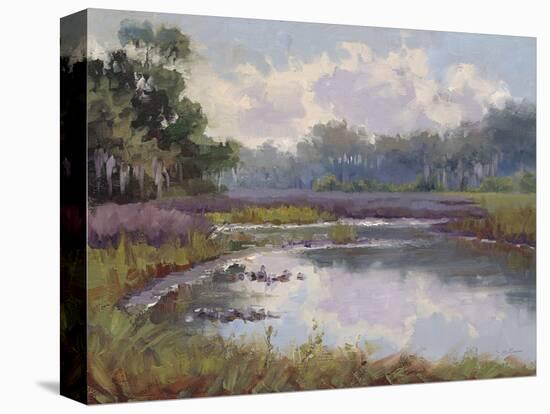 Countryside Hues-Jill Schultz McGannon-Stretched Canvas
