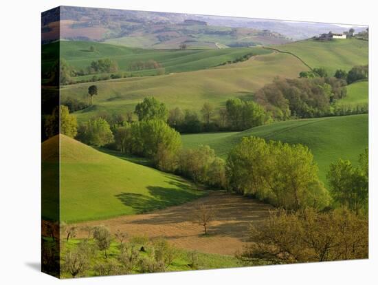 Countryside in Val d'Orcia-Dennis Degnan-Premier Image Canvas