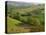 Countryside in Val d'Orcia-Dennis Degnan-Premier Image Canvas